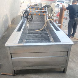 【果蔬清洗線、水產品清洗設備、土豆清洗設備、大棗清洗設備】- 